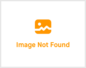 Img Property